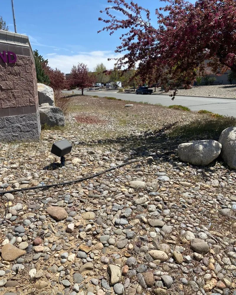Professional landscaping services in Carson City, NV by Aesthetic Landscaping