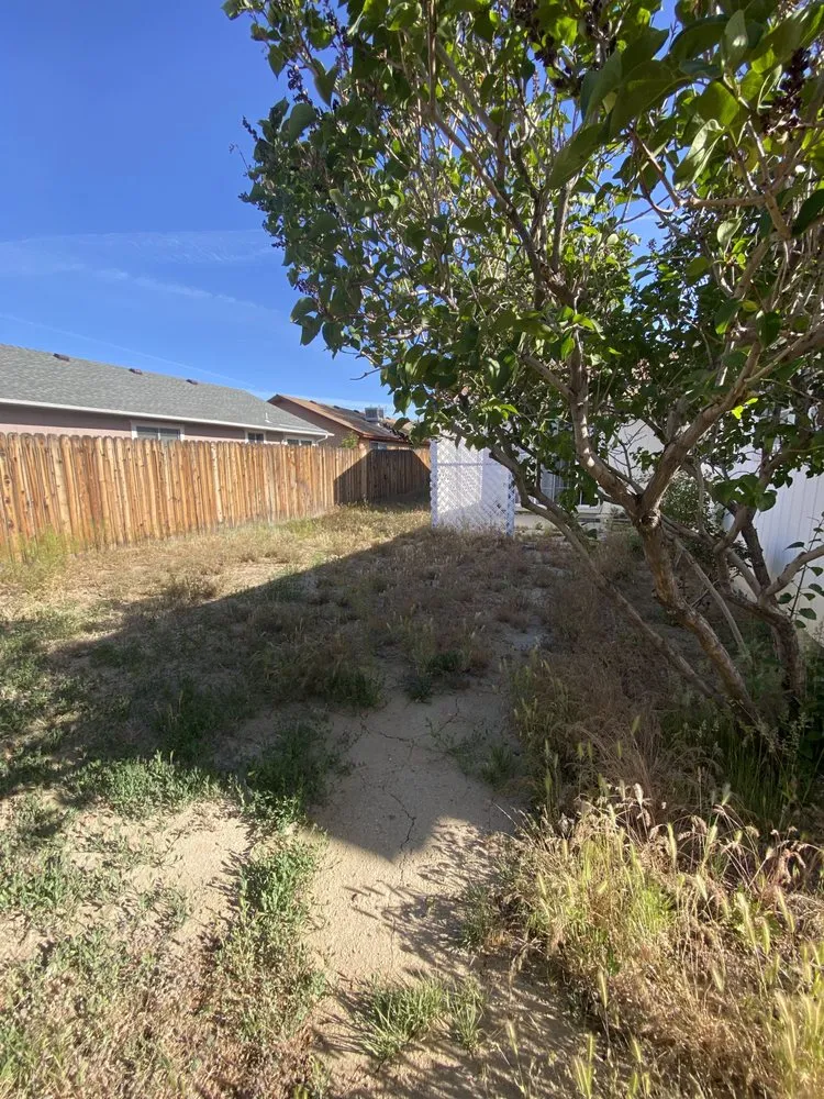 Custom lawn care service in Carson City, NV - Aesthetic Landscaping