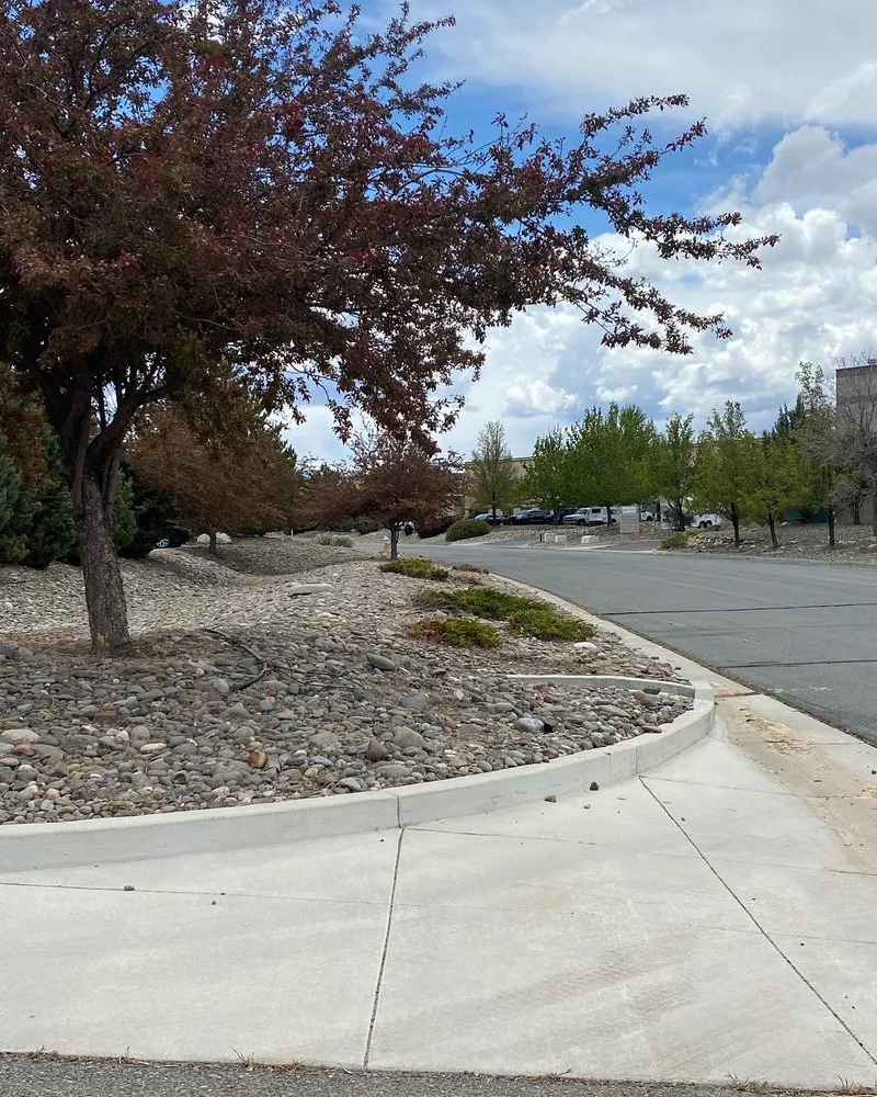 Trusted yard cleanup service for residential properties in Carson City, NV by Aesthetic Landscaping