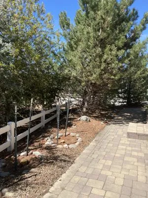 Aesthetic Landscaping Logo