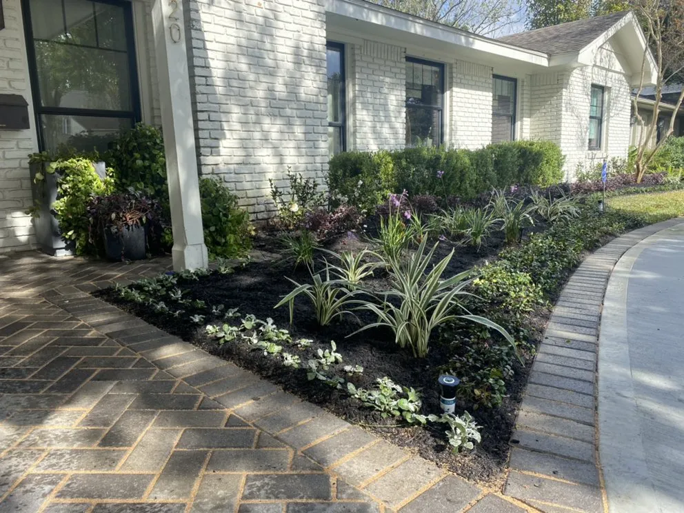Reliable outdoor landscaping experts serving Houston, TX - Aesthetic Landscaping