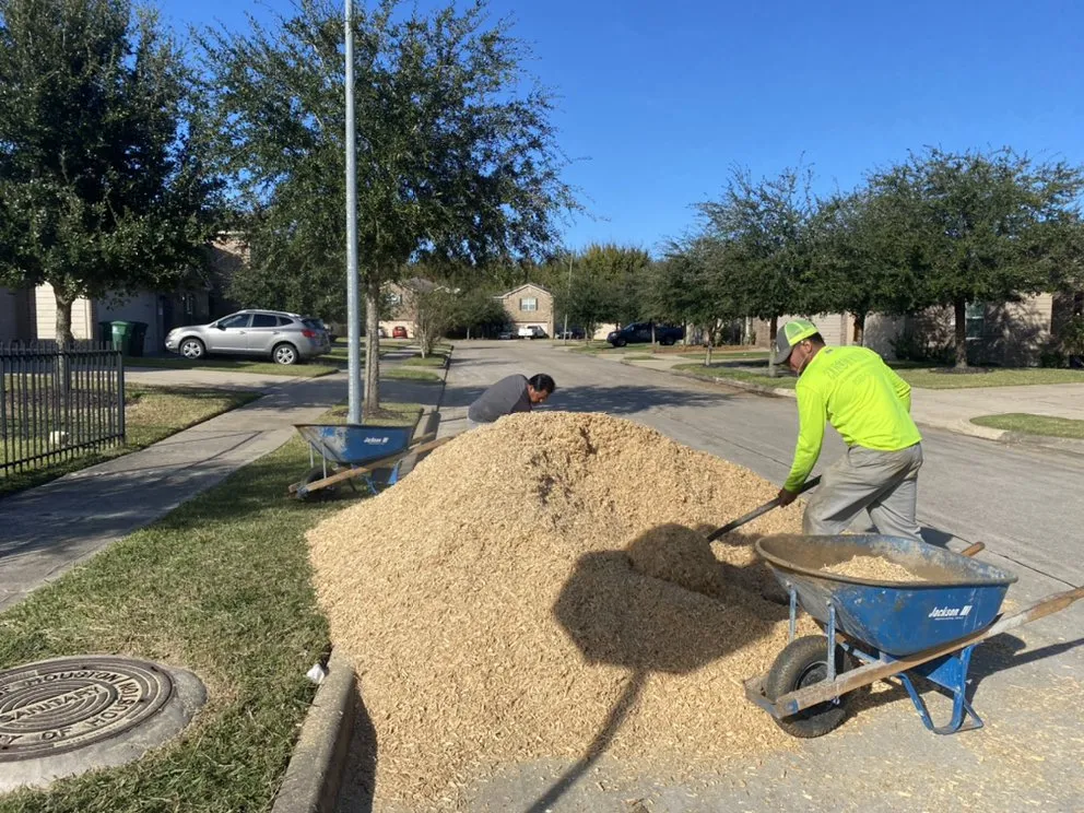 Reliable garden landscaping for residential properties in Houston, TX by Aesthetic Landscaping