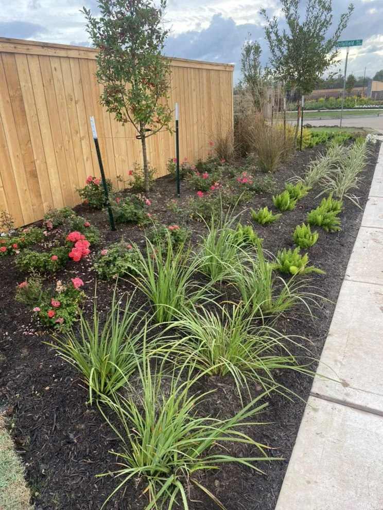 Expert landscaping services for beautiful yards in Houston, TX by Aesthetic Landscaping