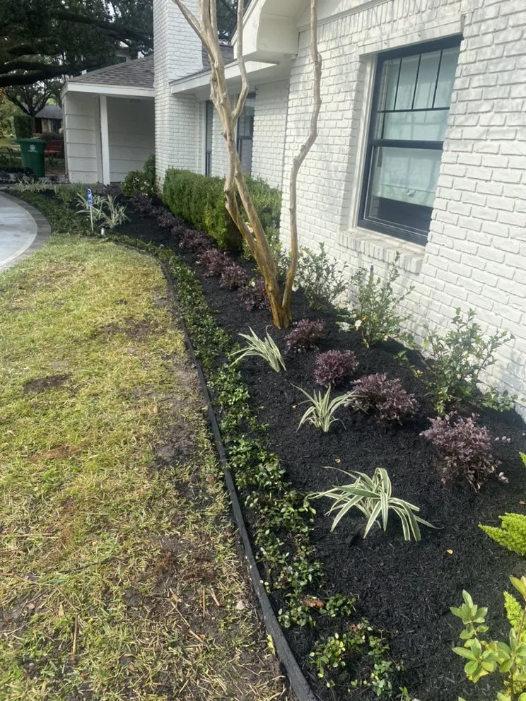 Trusted landscape installation experts serving Houston, TX - Aesthetic Landscaping