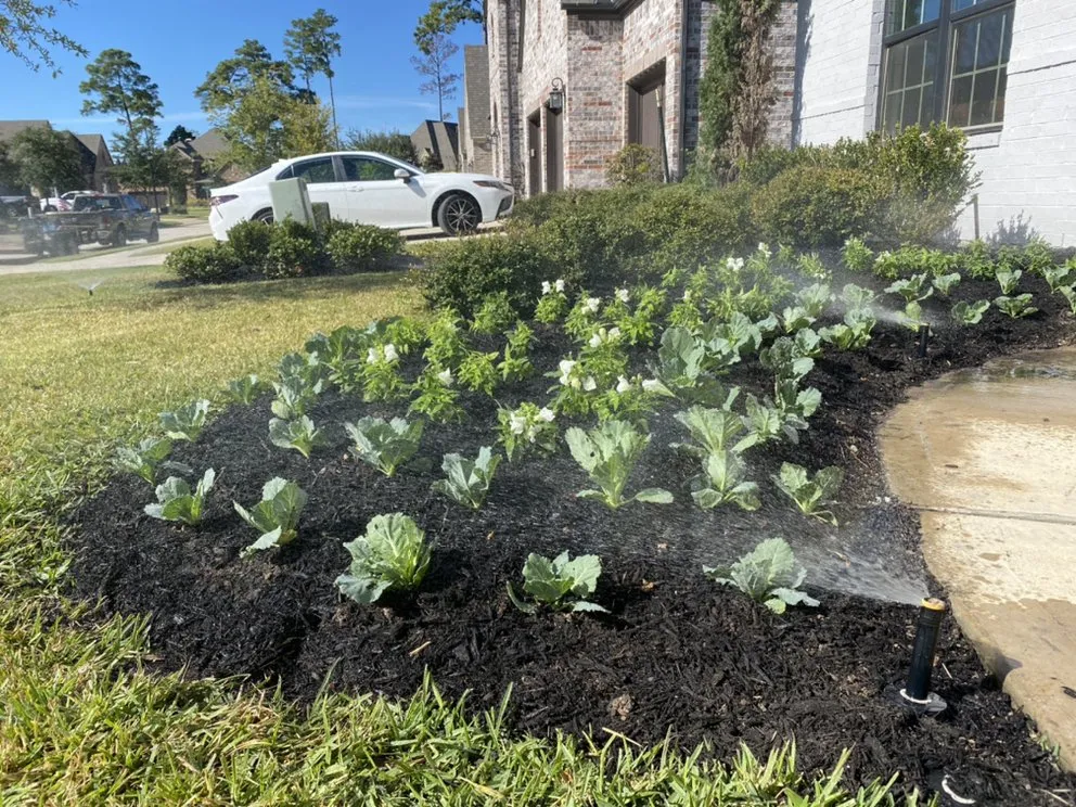 Reliable landscape design for outdoor upgrades in Houston, TX by Aesthetic Landscaping