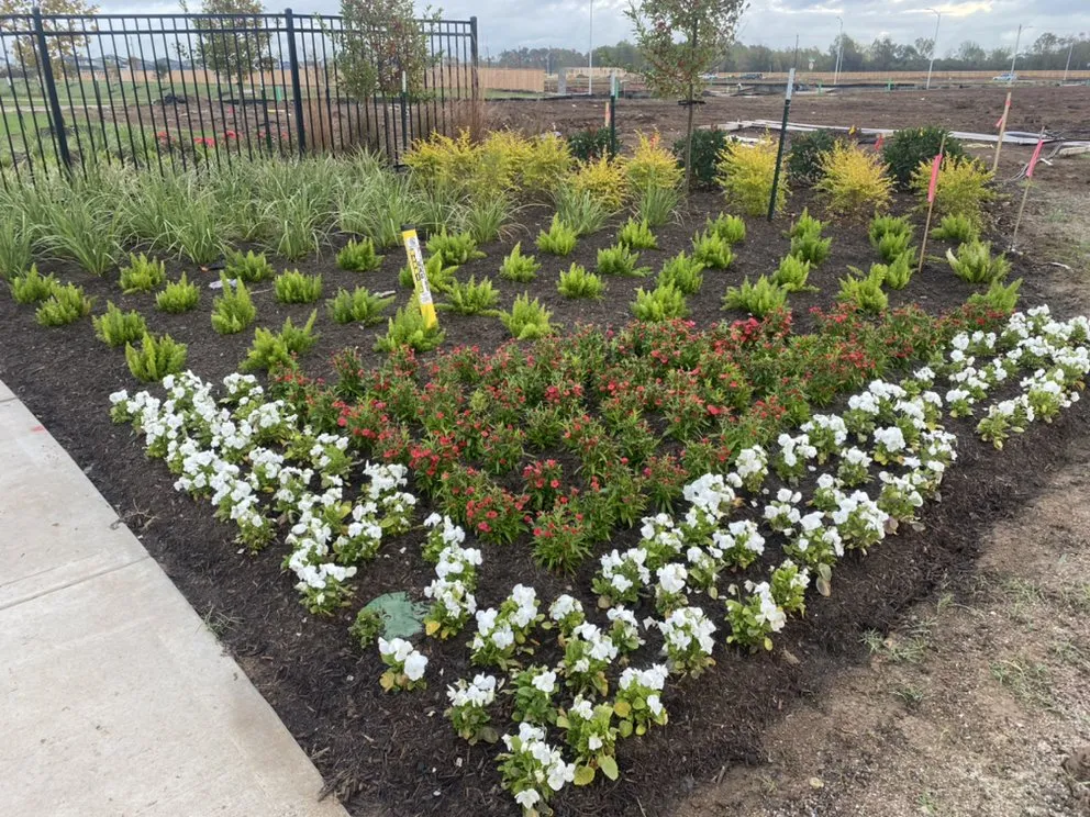 Local lawn care service for outdoor upgrades in Houston, TX by Aesthetic Landscaping