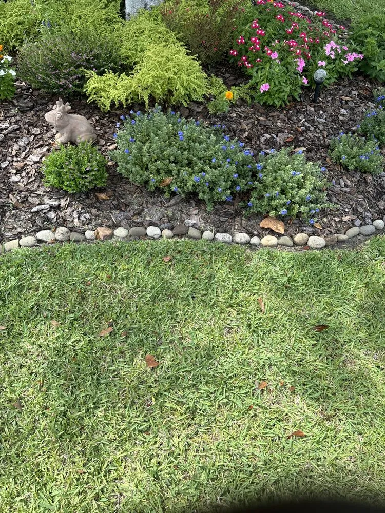 Expert residential landscaping for beautiful yards in Polk City, FL by Aesthetic Lawn care