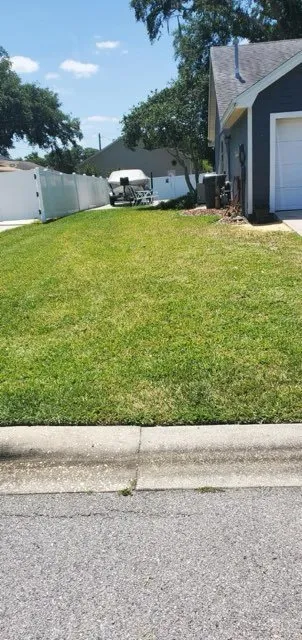 Professional landscape design in Polk City, FL - Aesthetic Lawn care