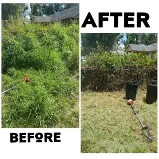 Professional yard maintenance experts serving Polk City, FL - Aesthetic Lawn care