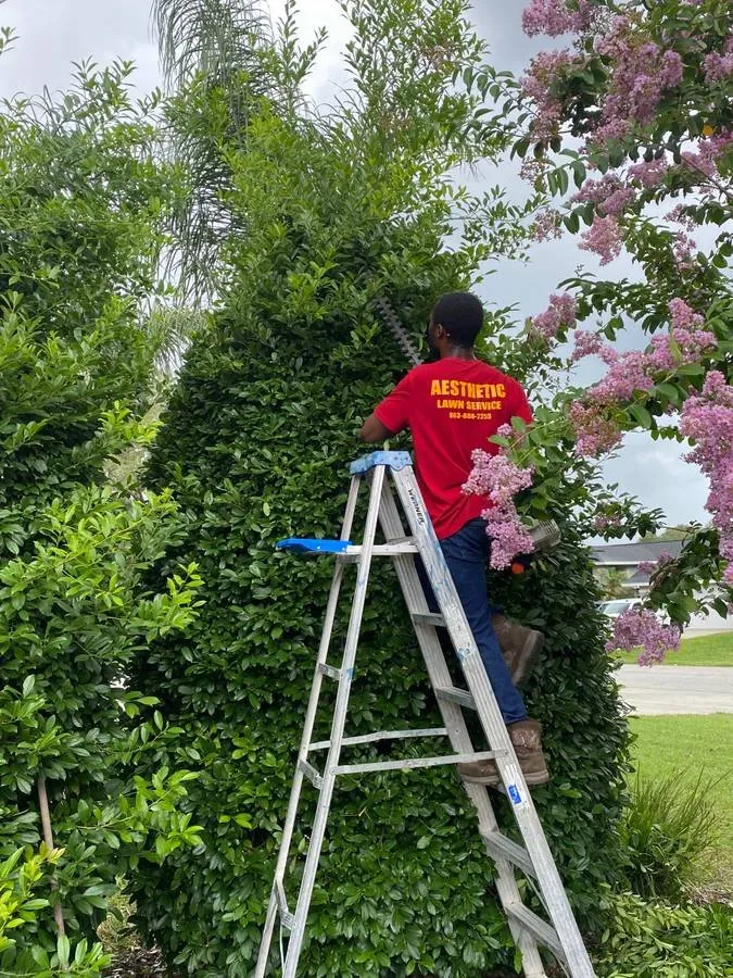 Local lawn care service for outdoor upgrades in Polk City, FL by Aesthetic Lawn care