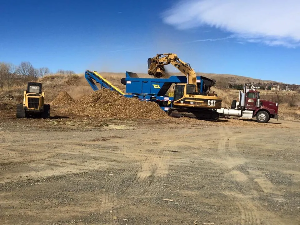 Professional yard maintenance experts serving Denver, CO - Aesthetic Tree Service & Aesthetic Alternate Recycling