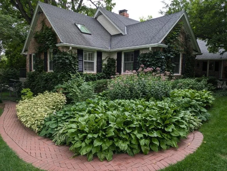 Reliable yard cleanup service in Denton, NE - Aesthetics