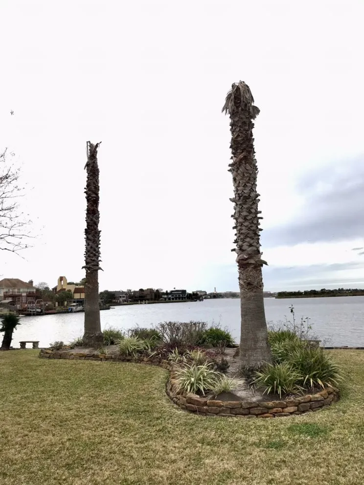 Top-rated landscaping services in Texas City, TX - Aesthetics Trees & Landscaping