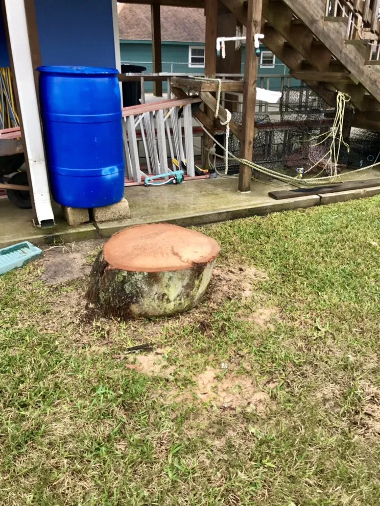 Local yard cleanup service in Texas City, TX by Aesthetics Trees & Landscaping