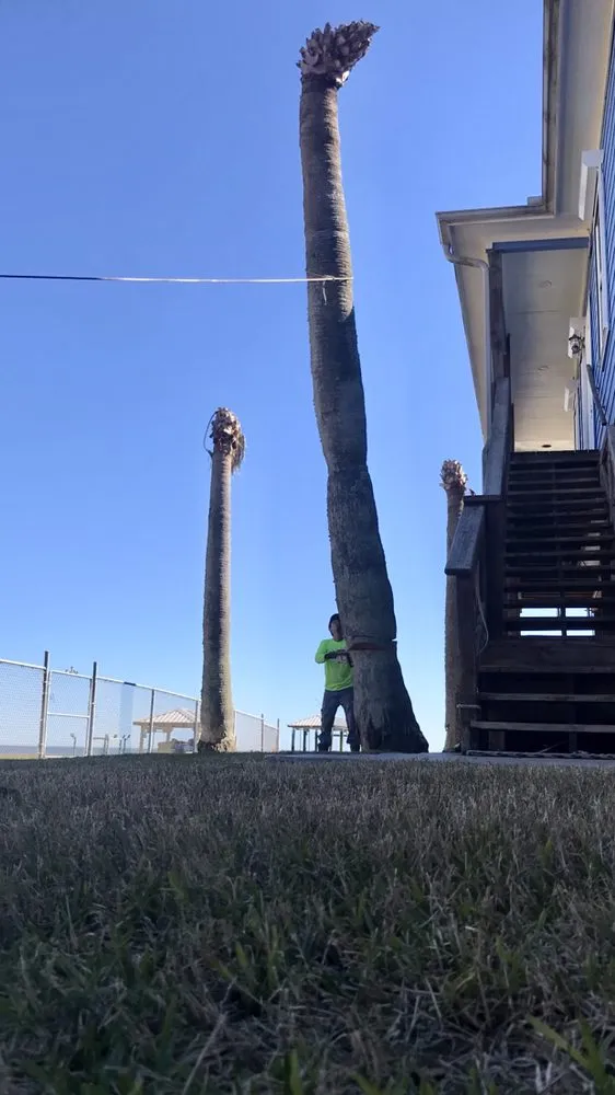 Expert landscaping services for outdoor upgrades in Texas City, TX by Aesthetics Trees & Landscaping