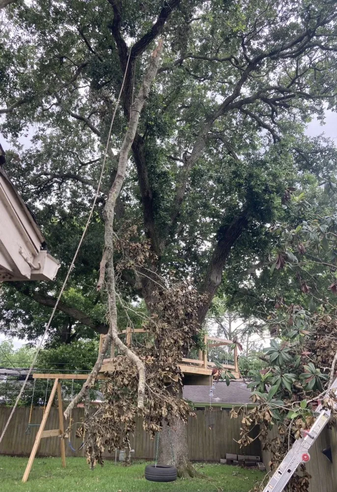 Professional landscape installation near you across Texas City, TX - Aesthetics Trees & Landscaping