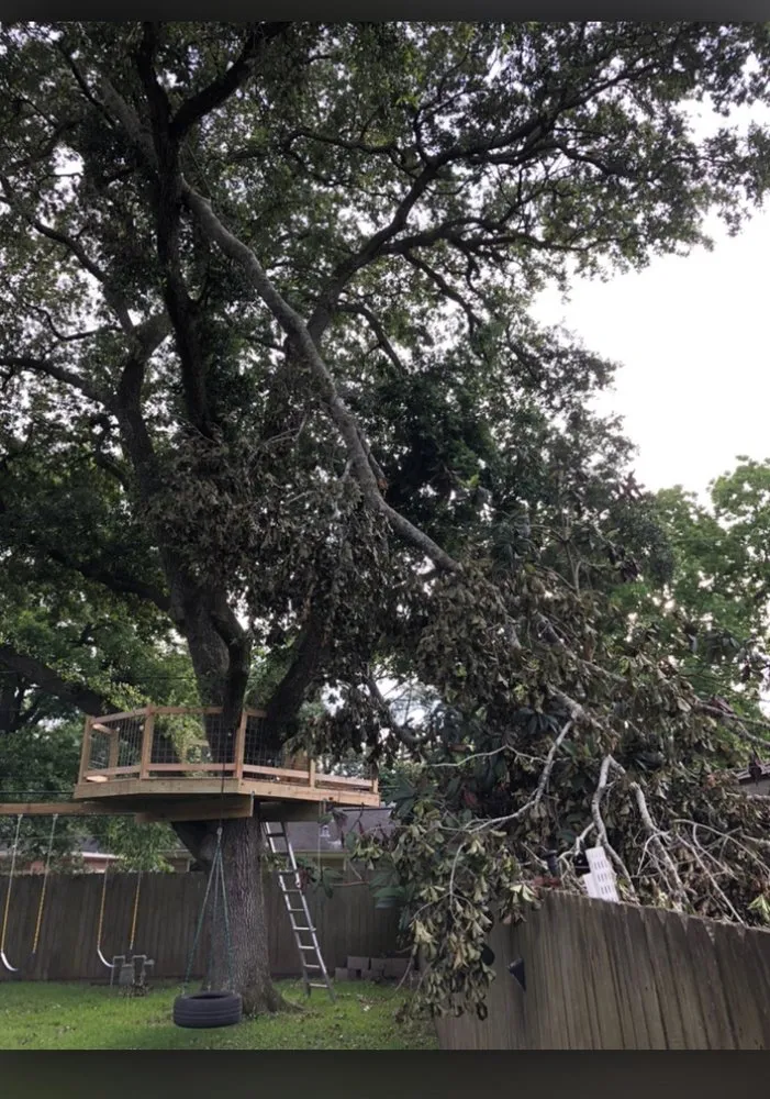 Affordable landscape design for homes in Texas City, TX by Aesthetics Trees & Landscaping