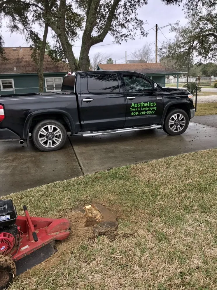 Local yard cleanup service experts serving Texas City, TX - Aesthetics Trees & Landscaping