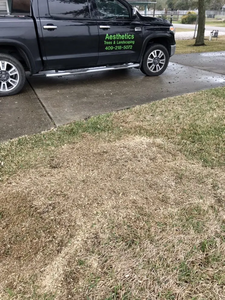 Reliable residential landscaping in Texas City, TX by Aesthetics Trees & Landscaping