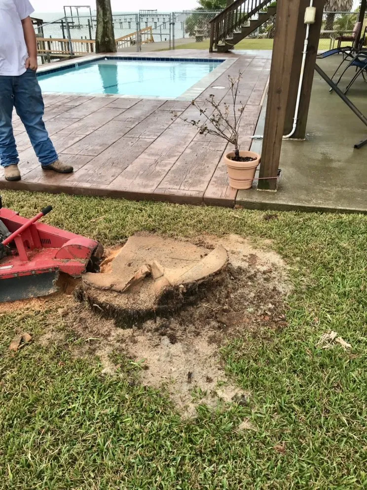 Affordable landscape installation for outdoor upgrades in Texas City, TX by Aesthetics Trees & Landscaping