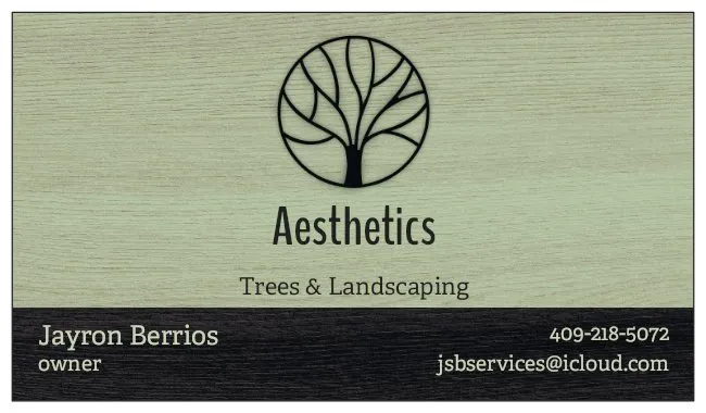 Professional landscape installation for homes in Texas City, TX by Aesthetics Trees & Landscaping