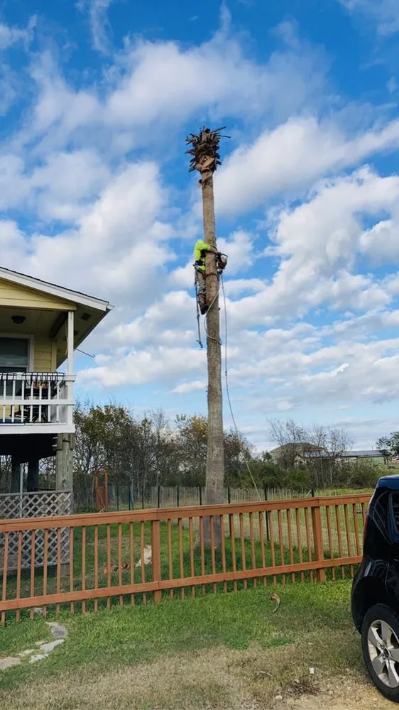 Professional landscaping services near you across Texas City, TX - Aesthetics Trees & Landscaping