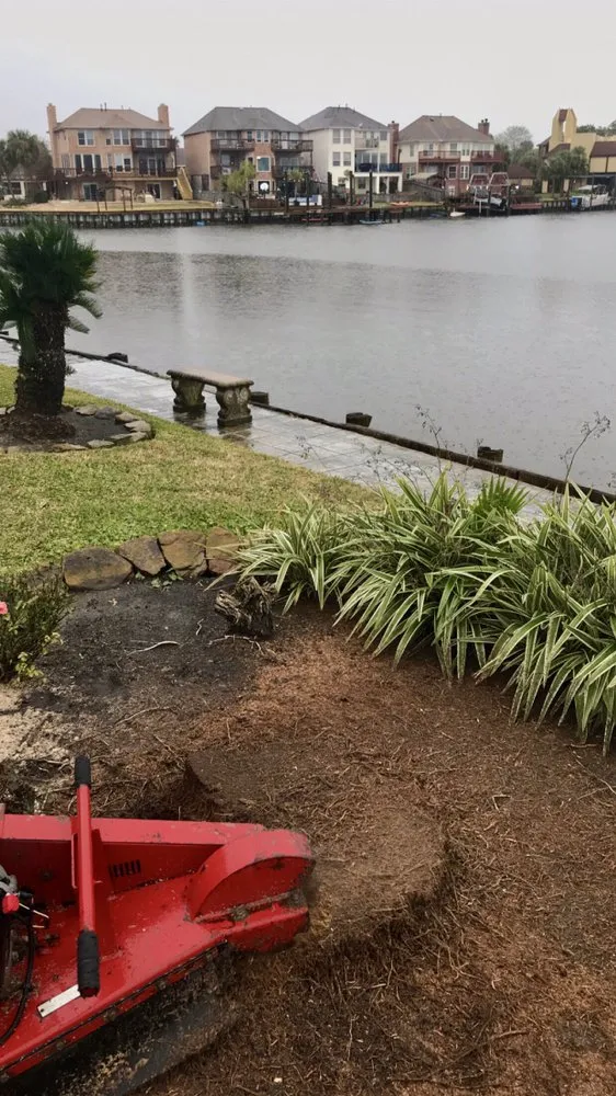 Top-rated landscape design for beautiful yards across Texas City, TX - Aesthetics Trees & Landscaping