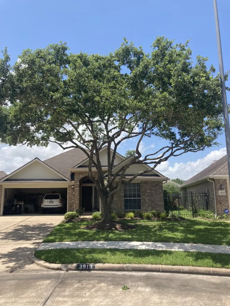 Affordable garden landscaping for homes across Texas City, TX - Aesthetics Trees & Landscaping