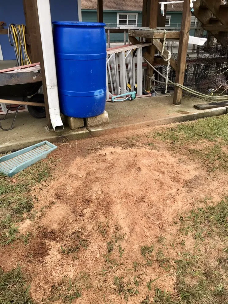 Reliable yard cleanup service for year-round maintenance in Texas City, TX by Aesthetics Trees & Landscaping