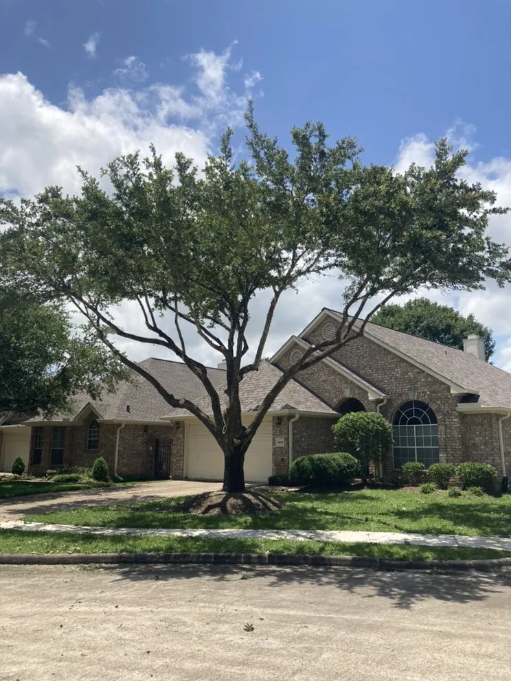 Custom landscape design experts serving Texas City, TX - Aesthetics Trees & Landscaping