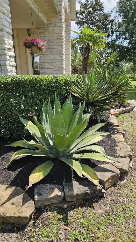 Trusted garden landscaping in Socorro, TX by Aeterna Environmental