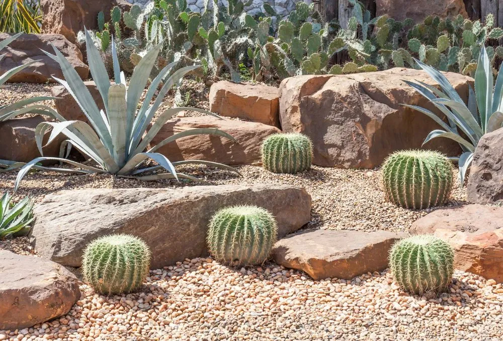 Professional lawn care service in Socorro, TX - Aeterna Environmental