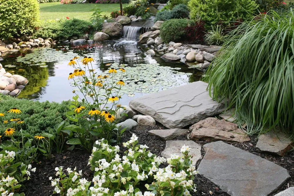 Professional landscape design in Socorro, TX - Aeterna Environmental