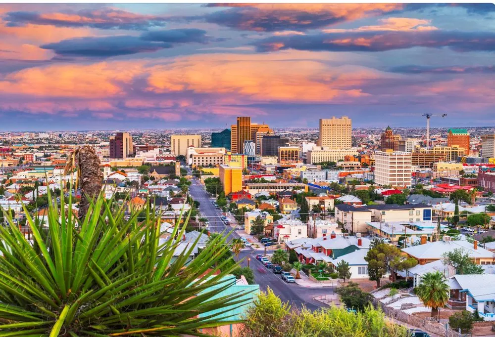 Professional garden landscaping for year-round maintenance in Socorro, TX by Aeterna Environmental