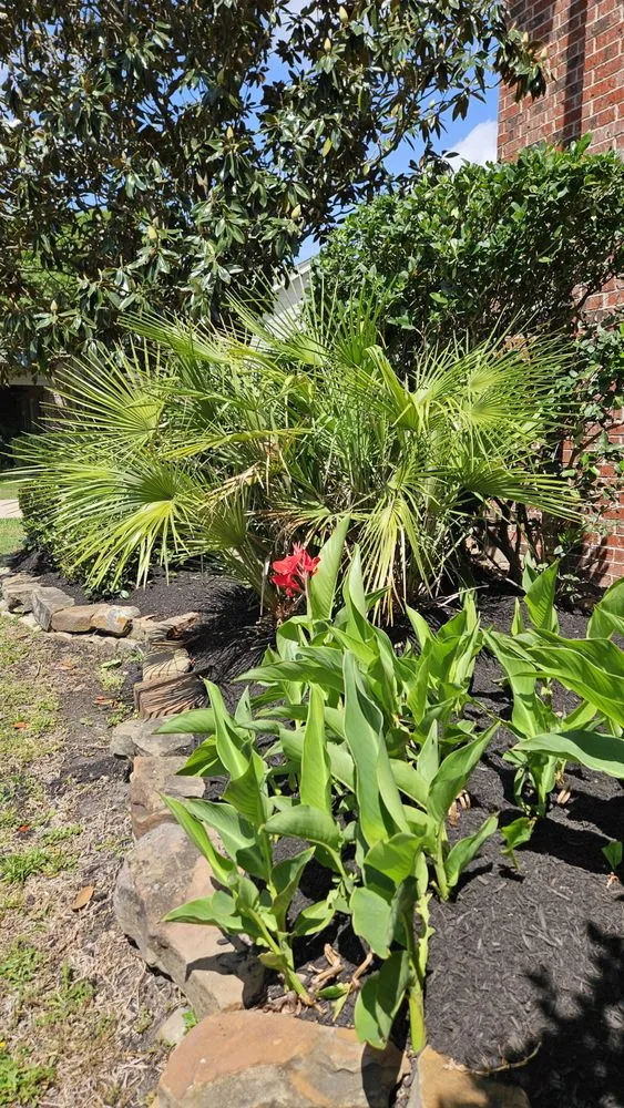 Professional outdoor landscaping in Socorro, TX by Aeterna Environmental