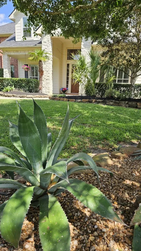 Local yard cleanup service for residential properties in Socorro, TX by Aeterna Environmental