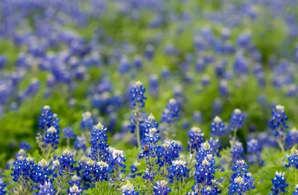 Aeterna Environmental