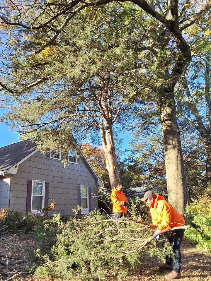 Professional outdoor landscaping with custom design in Hillsborough, NJ by AEV Landscaping