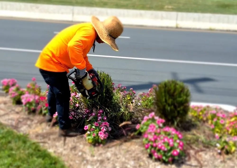 Top-rated yard cleanup service in Hillsborough, NJ by AEV Landscaping