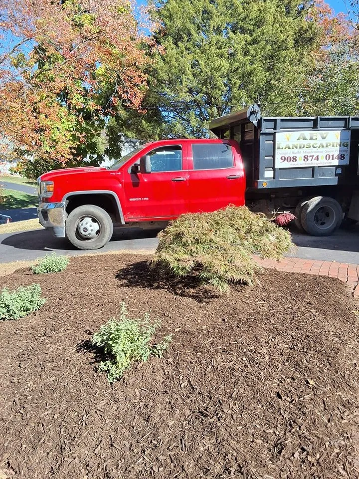 Affordable lawn care service in Hillsborough, NJ - AEV Landscaping