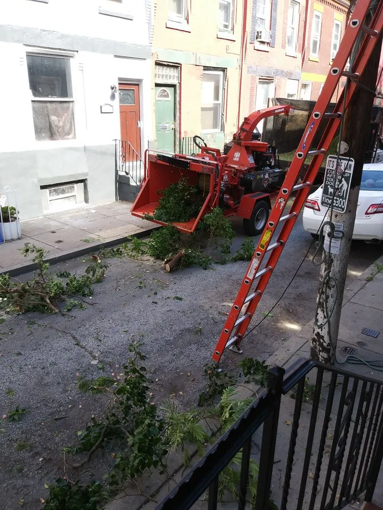 Top-rated lawn care service for residential properties across Philadelphia, PA - AEW Excavation