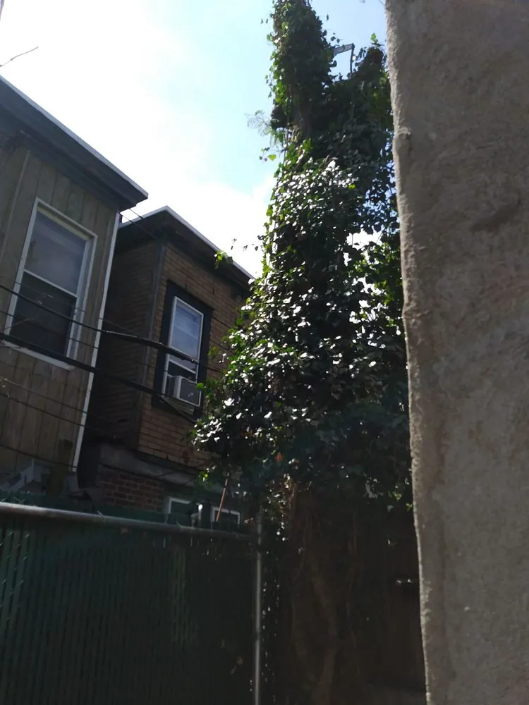 Affordable residential landscaping in Philadelphia, PA - AEW Excavation