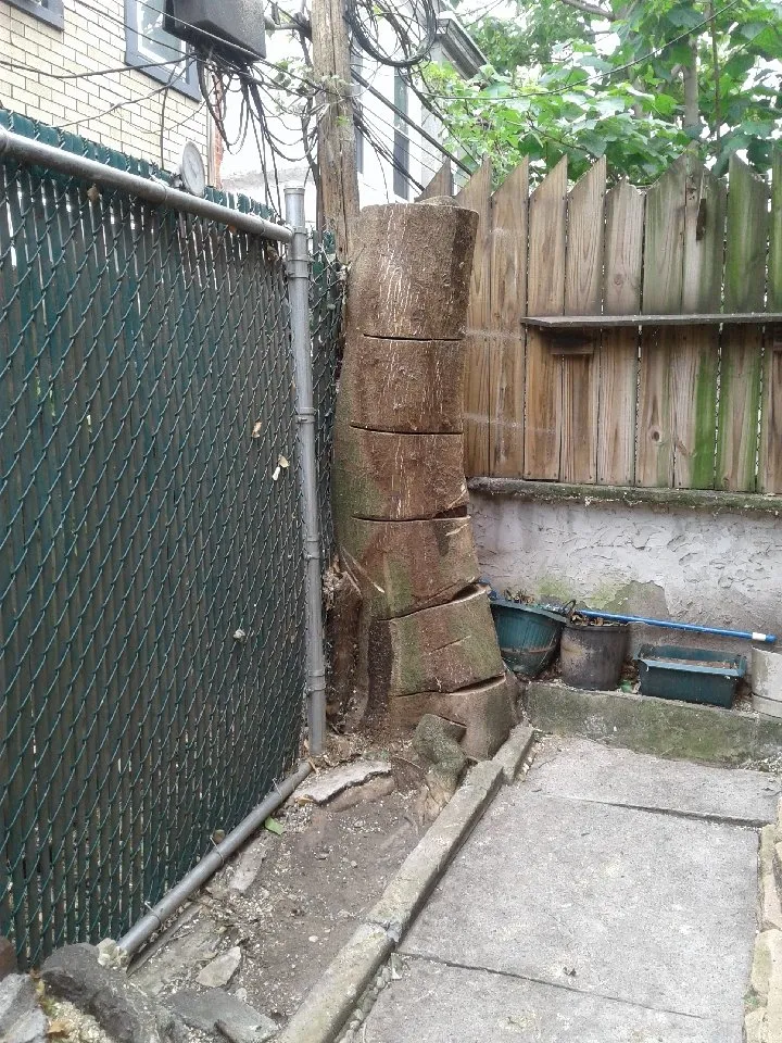 Top-rated landscape design for outdoor upgrades in Philadelphia, PA by AEW Excavation