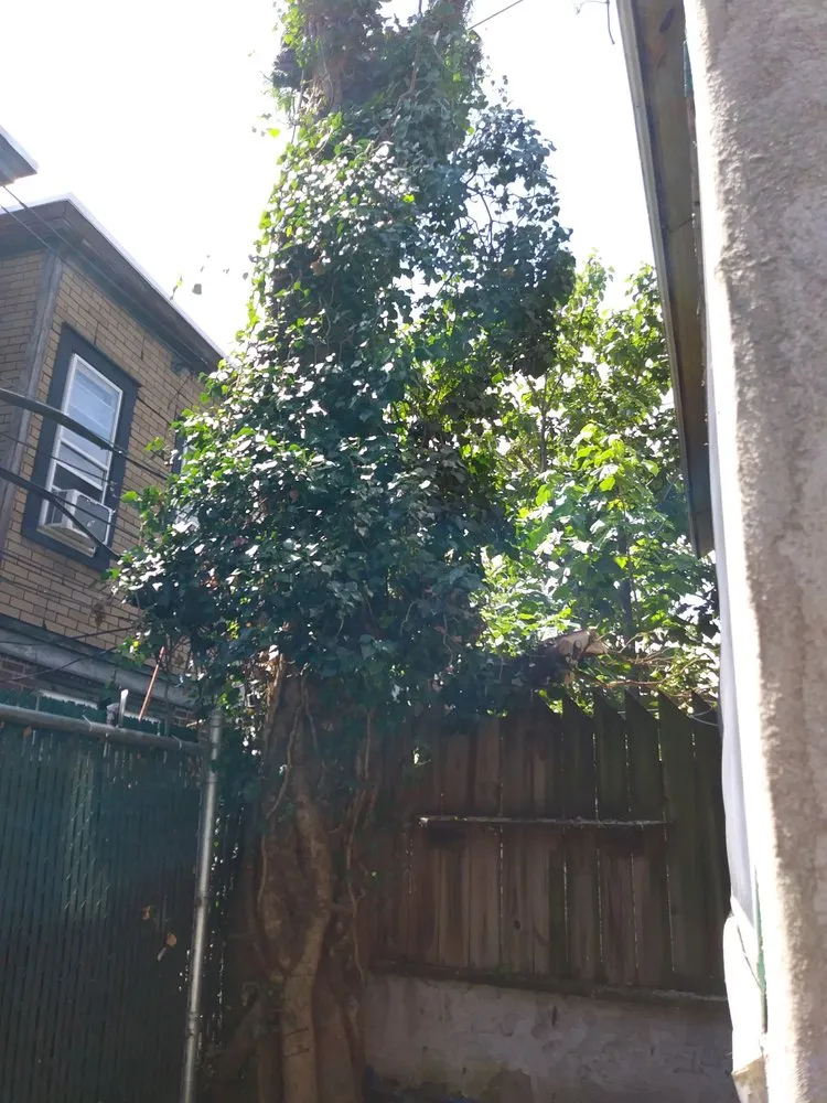 Trusted garden landscaping in Philadelphia, PA - AEW Excavation