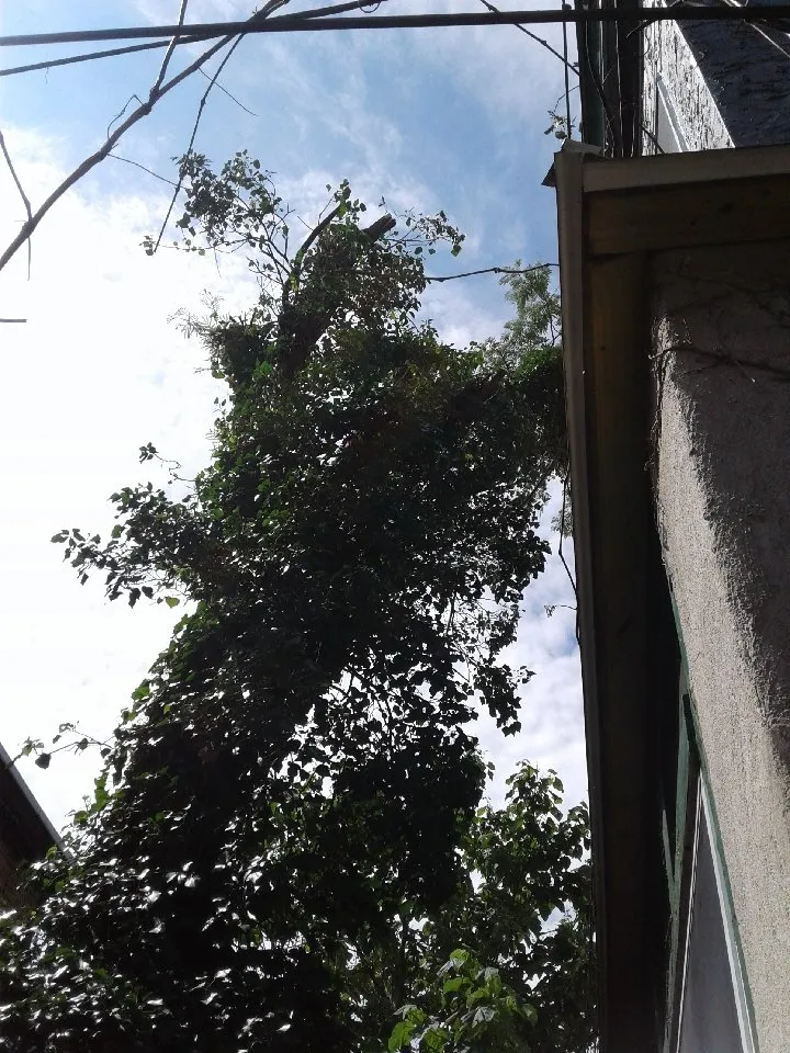 Reliable lawn mowing service in Philadelphia, PA - AEW Excavation