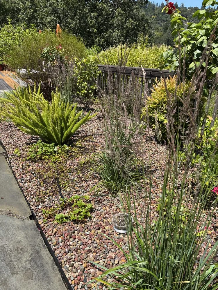 Custom landscape installation in Vallejo, CA by Af Gardening