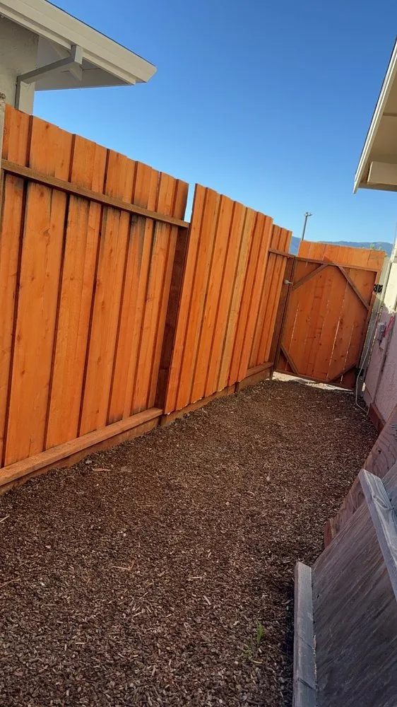 Top-rated yard maintenance in Vallejo, CA by Af Gardening