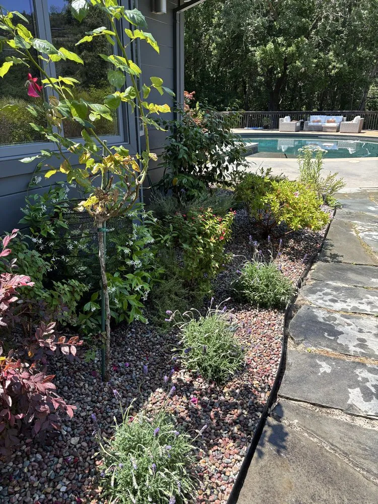 Custom lawn mowing service for homes across Vallejo, CA - Af Gardening