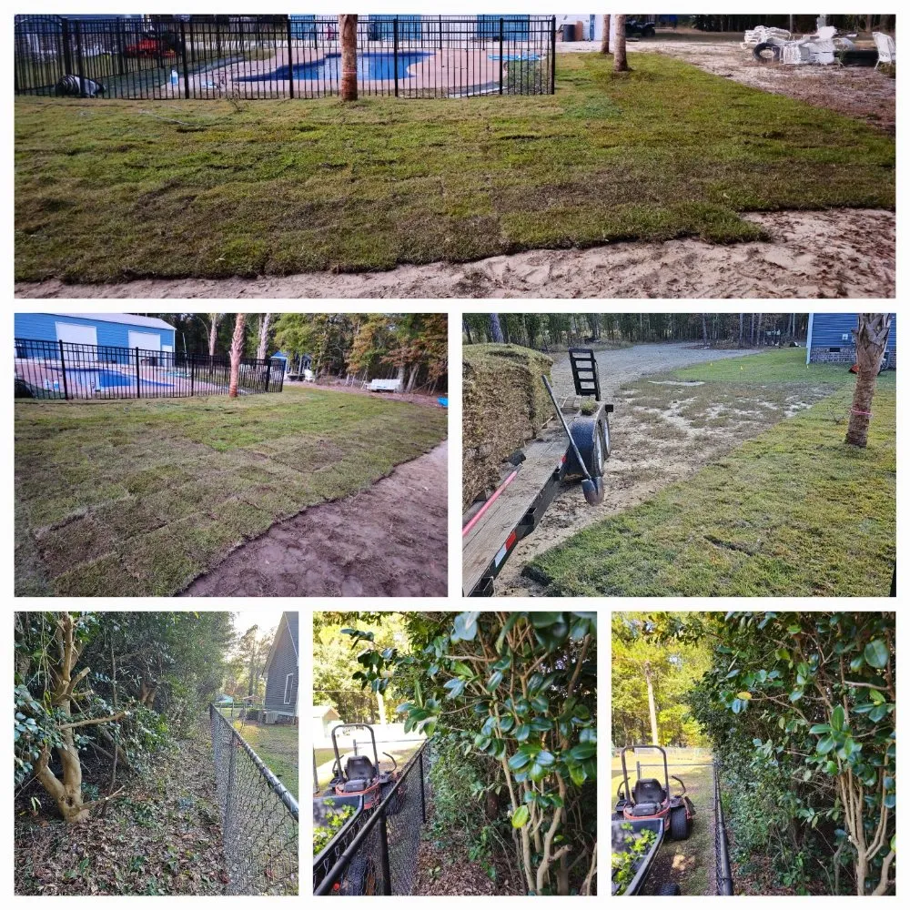 Professional residential landscaping for beautiful yards across Hartsville, SC - AF Landscaping