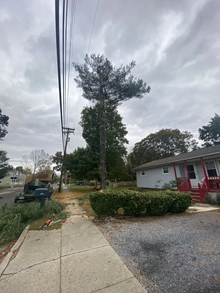 Affordable residential landscaping in Bridgeton, NJ - A&F Landscaping Services